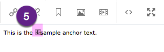 The WYSIWYG editor contains text that say 'This is the example anchor text' with the anchor icon highlighted in purple between 'the' and 'sample'.