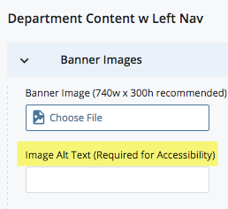 screenshot of alt text form field