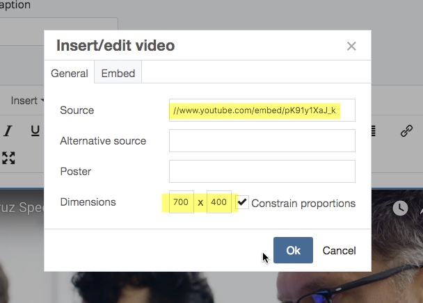 screenshot of inserting a video dialog box