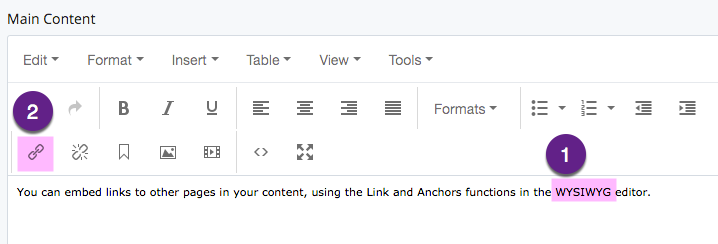 Snapshot of link button in WYSIWYG editor