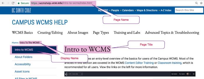a WCMSHelp page with the website URL, page name, display name, and page title highlighted in purple, each with a callout box containing its field name