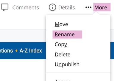 WCMS editing page with More and Rename highlighted in purple