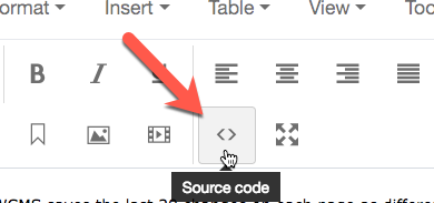 WYSIWIG source code icon