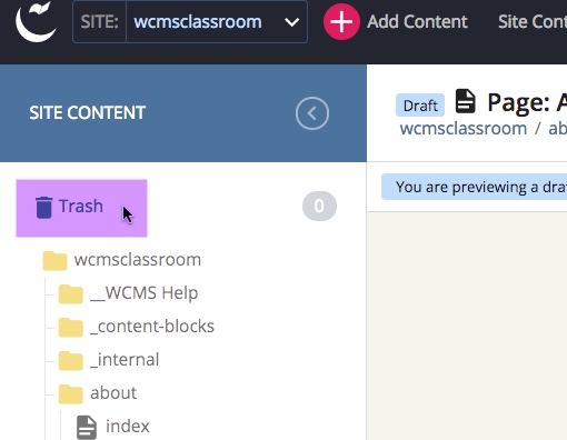 screenshot of location of trash icon 